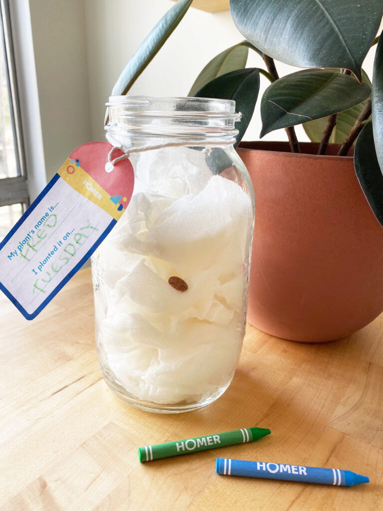 Completed Watch It Grow activity on table - jar filled with paper and seeds, plus tag with the plant's name